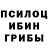 Галлюциногенные грибы Psilocybe Robin Strain