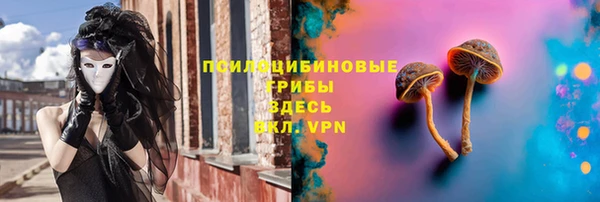 прущая мука Алзамай