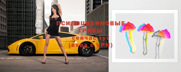 прущая мука Алзамай