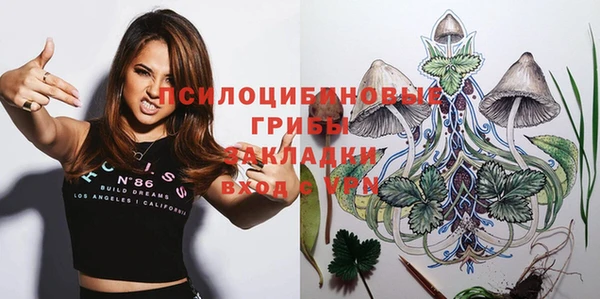прущая мука Алзамай
