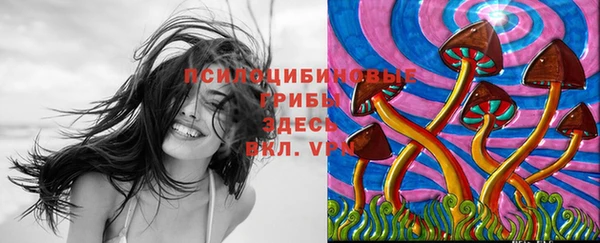 мяу мяу мука Алексеевка