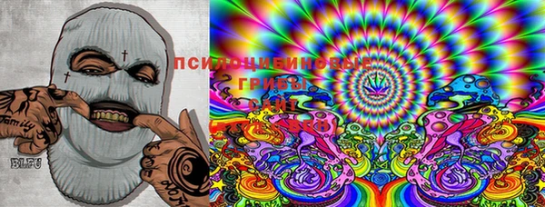 мяу мяу мука Алексеевка
