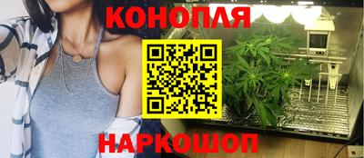 гашик Севастополь