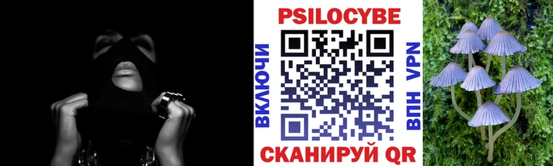 Галлюциногенные грибы мицелий omg ТОР Старая Русса